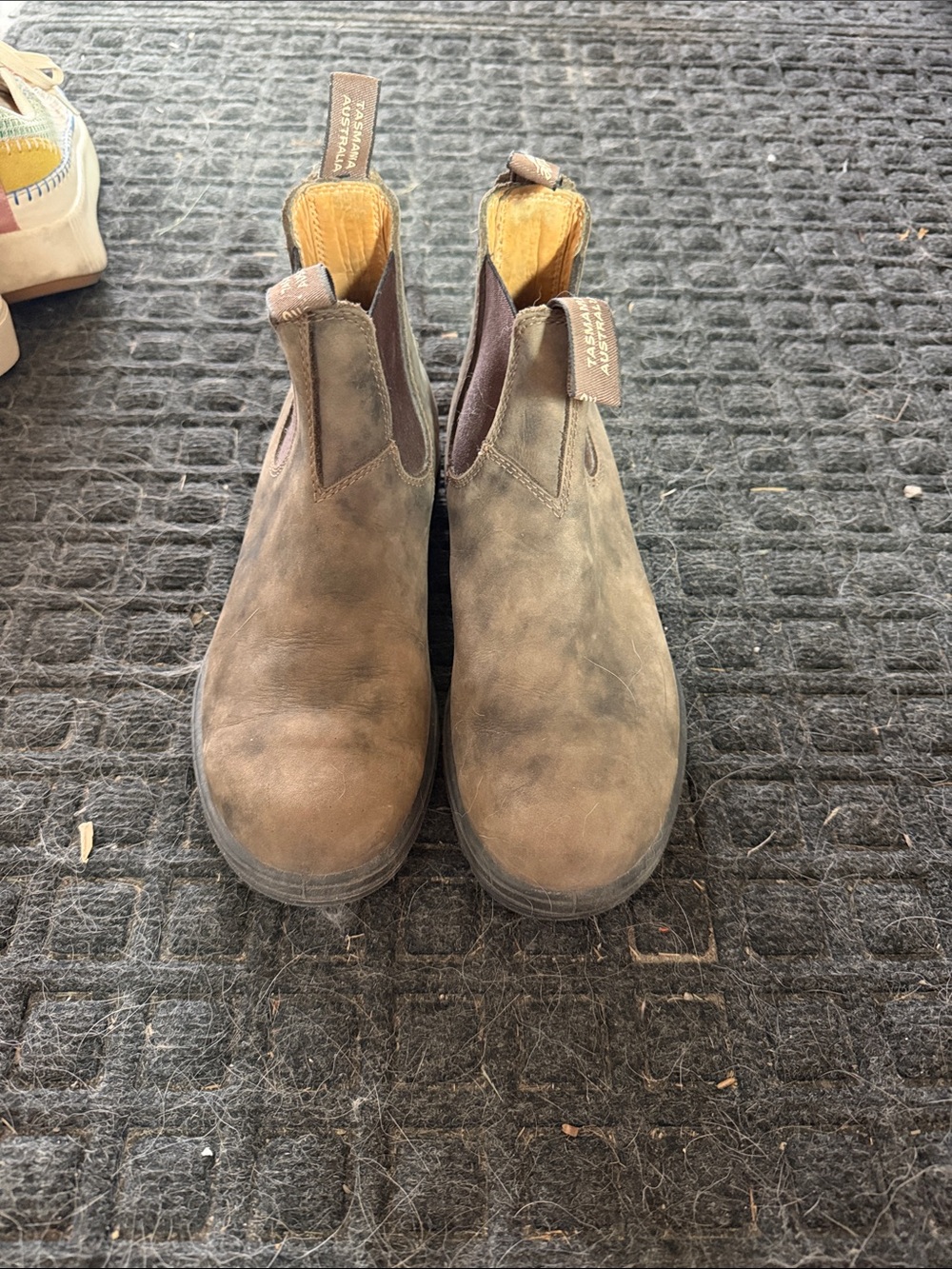 Blundstone Men's Chukka Boots in Brown